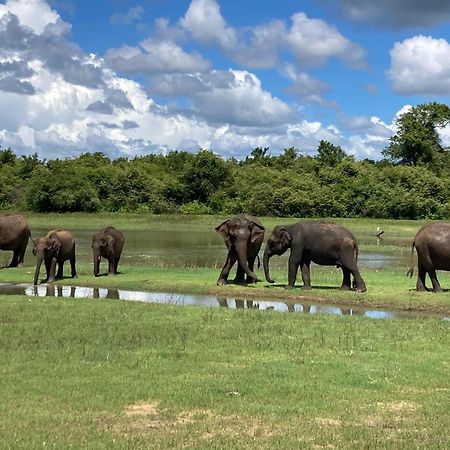 Golden Pearl Safari Villa ウダワラウェ エクステリア 写真