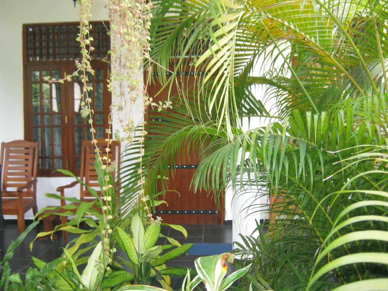 Golden Pearl Safari Villa ウダワラウェ エクステリア 写真